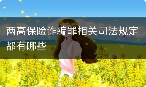 两高保险诈骗罪相关司法规定都有哪些