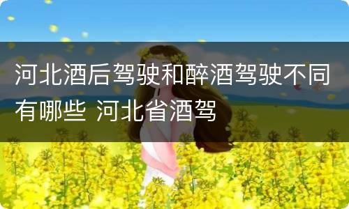河北酒后驾驶和醉酒驾驶不同有哪些 河北省酒驾