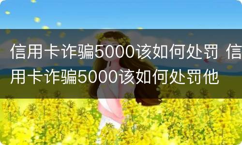 信用卡诈骗5000该如何处罚 信用卡诈骗5000该如何处罚他