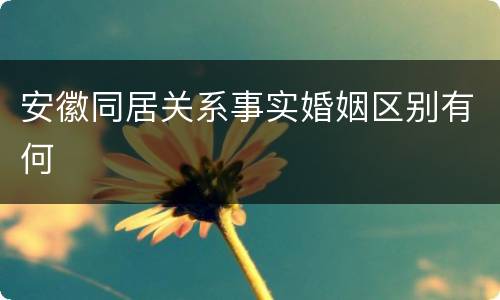 安徽同居关系事实婚姻区别有何
