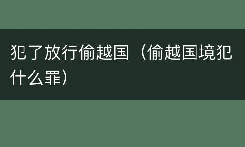 犯了放行偷越国（偷越国境犯什么罪）