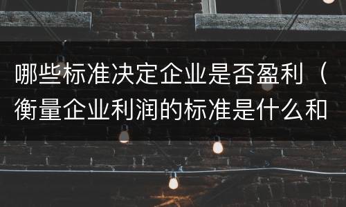哪些标准决定企业是否盈利（衡量企业利润的标准是什么和什么）
