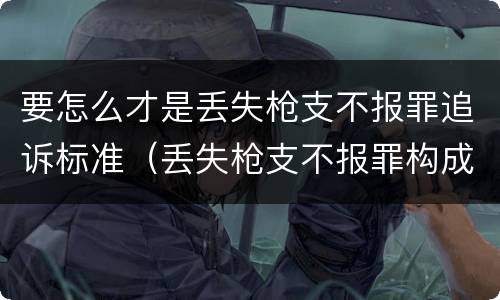 要怎么才是丢失枪支不报罪追诉标准（丢失枪支不报罪构成要件）