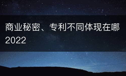 商业秘密、专利不同体现在哪2022