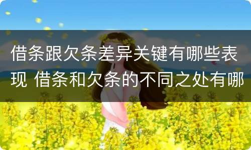 借条跟欠条差异关键有哪些表现 借条和欠条的不同之处有哪些