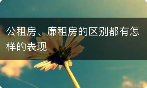 公租房、廉租房的区别都有怎样的表现