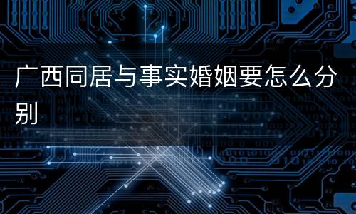 广西同居与事实婚姻要怎么分别