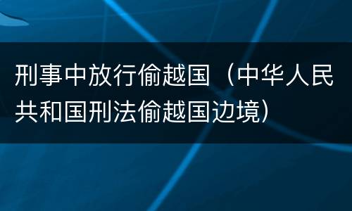 刑事中放行偷越国（中华人民共和国刑法偷越国边境）