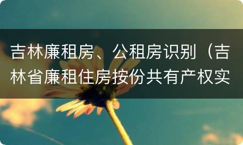 吉林廉租房、公租房识别（吉林省廉租住房按份共有产权实施管理办法）