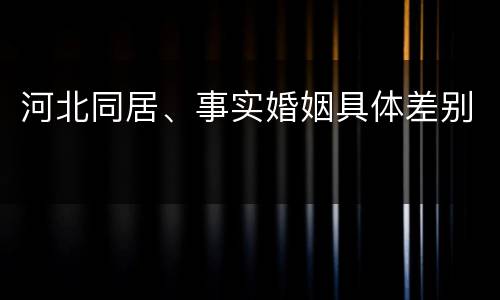 河北同居、事实婚姻具体差别