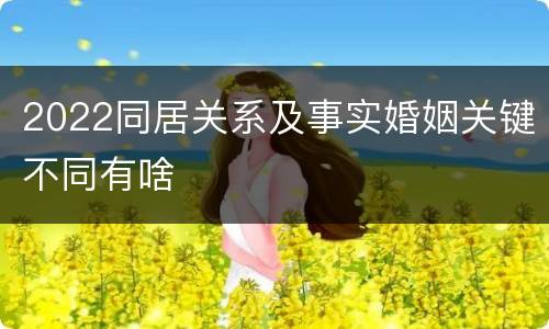 2022同居关系及事实婚姻关键不同有啥
