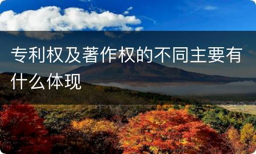 专利权及著作权的不同主要有什么体现
