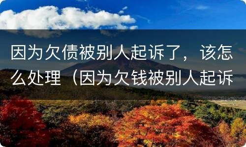 因为欠债被别人起诉了，该怎么处理（因为欠钱被别人起诉有什么后果）