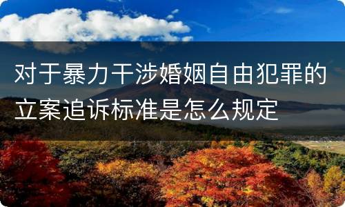 对于暴力干涉婚姻自由犯罪的立案追诉标准是怎么规定