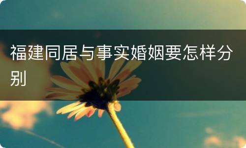 福建同居与事实婚姻要怎样分别