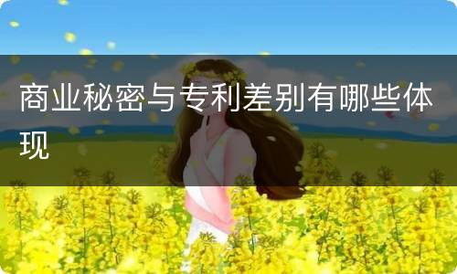 商业秘密与专利差别有哪些体现