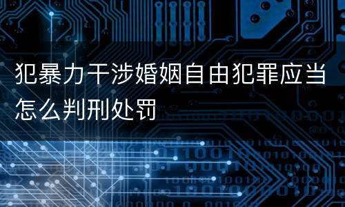 犯暴力干涉婚姻自由犯罪应当怎么判刑处罚
