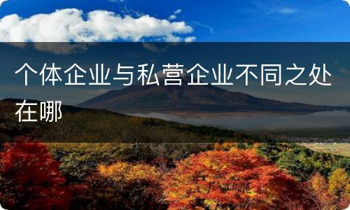 个体企业与私营企业不同之处在哪