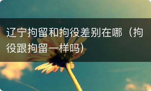 辽宁拘留和拘役差别在哪（拘役跟拘留一样吗）