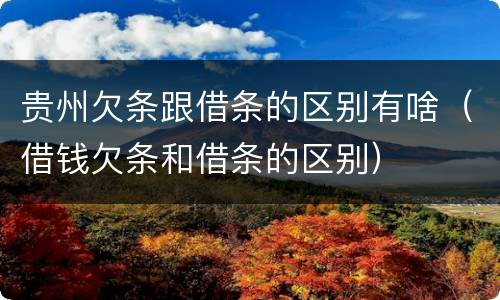 贵州欠条跟借条的区别有啥（借钱欠条和借条的区别）