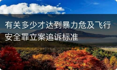 有关多少才达到暴力危及飞行安全罪立案追诉标准