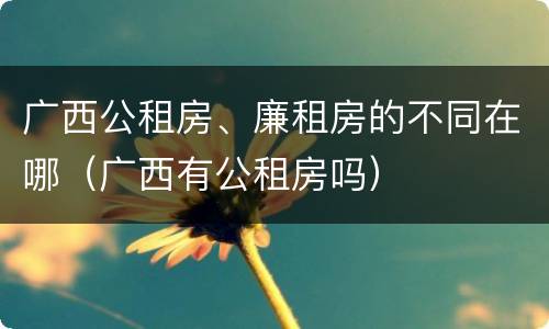 广西公租房、廉租房的不同在哪（广西有公租房吗）