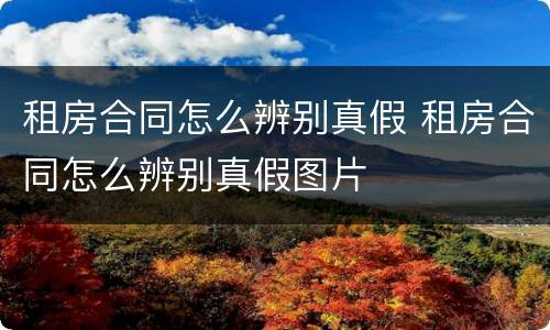 租房合同怎么辨别真假 租房合同怎么辨别真假图片