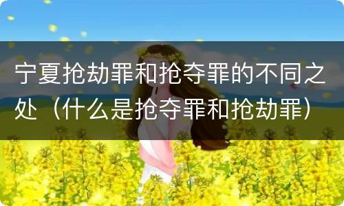 宁夏抢劫罪和抢夺罪的不同之处（什么是抢夺罪和抢劫罪）