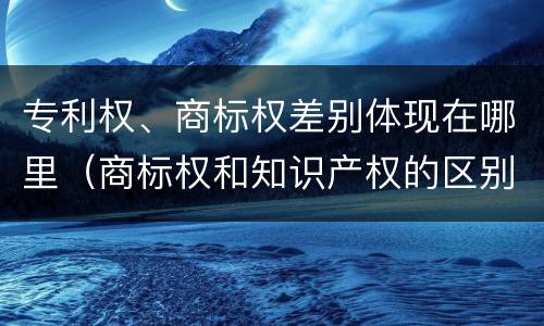 专利权、商标权差别体现在哪里（商标权和知识产权的区别）