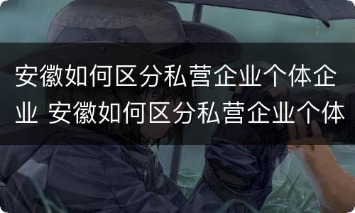 安徽如何区分私营企业个体企业 安徽如何区分私营企业个体企业和公司