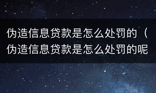 伪造信息贷款是怎么处罚的（伪造信息贷款是怎么处罚的呢）