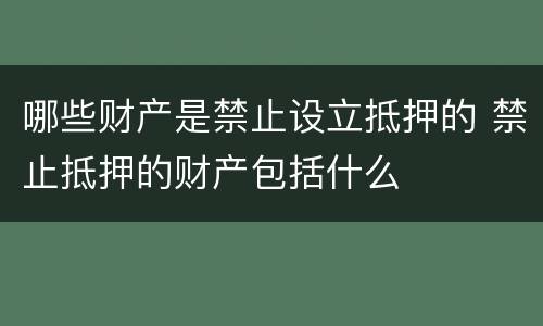哪些财产是禁止设立抵押的 禁止抵押的财产包括什么