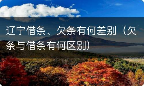 辽宁借条、欠条有何差别（欠条与借条有何区别）