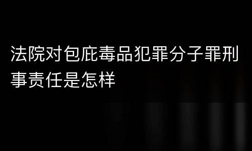 法院对包庇毒品犯罪分子罪刑事责任是怎样