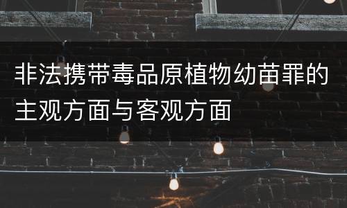 非法携带毒品原植物幼苗罪的主观方面与客观方面