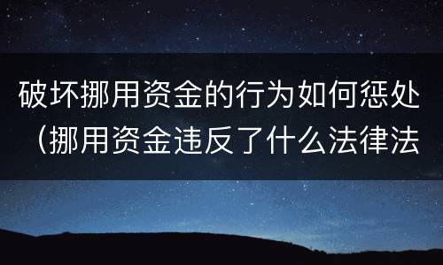 破坏挪用资金的行为如何惩处（挪用资金违反了什么法律法规）
