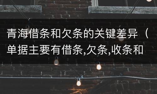 青海借条和欠条的关键差异（单据主要有借条,欠条,收条和什么）
