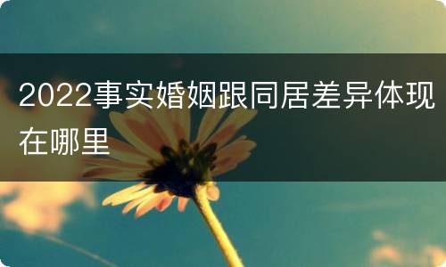 2022事实婚姻跟同居差异体现在哪里