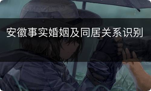安徽事实婚姻及同居关系识别