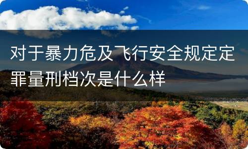 对于暴力危及飞行安全规定定罪量刑档次是什么样