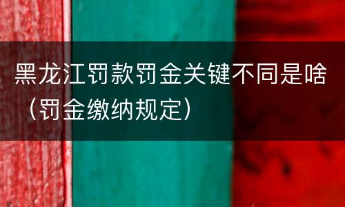 黑龙江罚款罚金关键不同是啥（罚金缴纳规定）