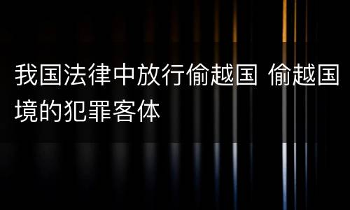 我国法律中放行偷越国 偷越国境的犯罪客体