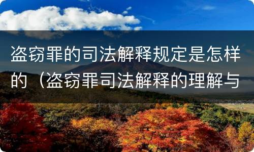 盗窃罪的司法解释规定是怎样的（盗窃罪司法解释的理解与适用）