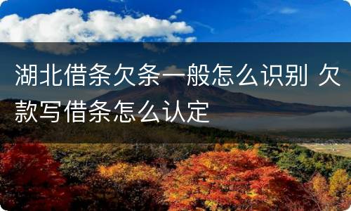 湖北借条欠条一般怎么识别 欠款写借条怎么认定