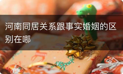 河南同居关系跟事实婚姻的区别在哪