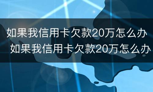 如果我信用卡欠款20万怎么办 如果我信用卡欠款20万怎么办理
