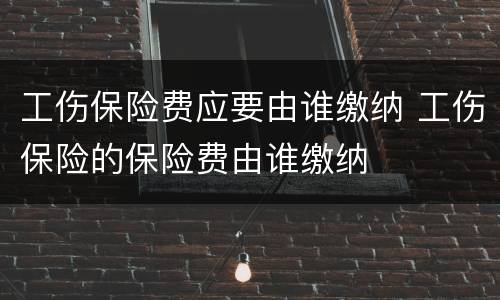工伤保险费应要由谁缴纳 工伤保险的保险费由谁缴纳