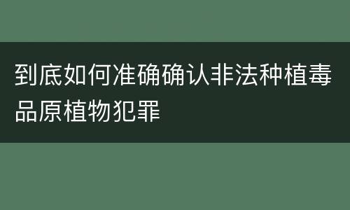 到底如何准确确认非法种植毒品原植物犯罪