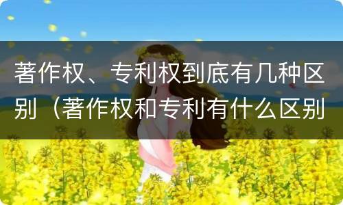 著作权、专利权到底有几种区别（著作权和专利有什么区别）