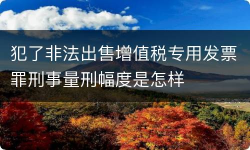 犯了非法出售增值税专用发票罪刑事量刑幅度是怎样